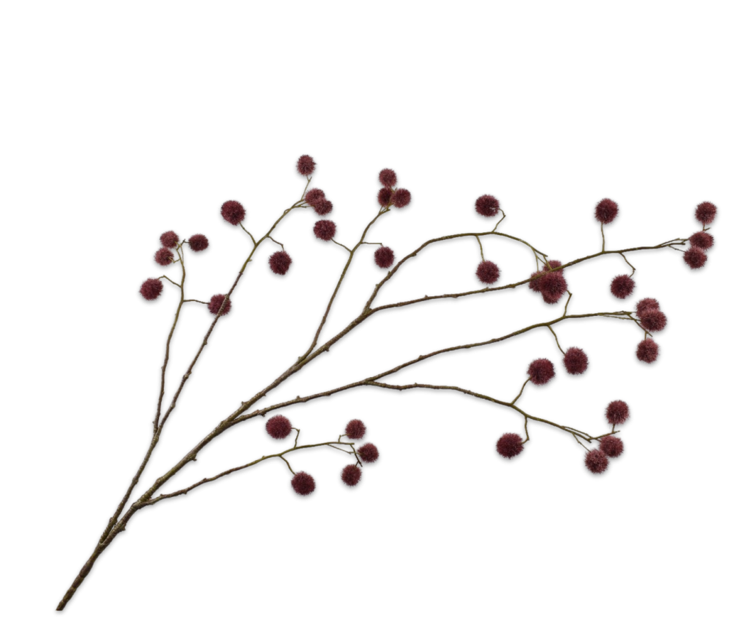 Mimosa burgundy