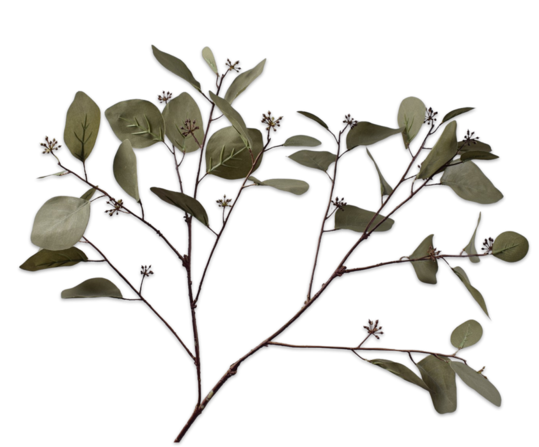 Eucalyptusgren