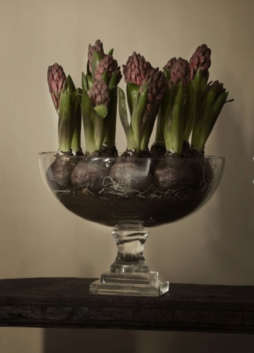 Glasskål