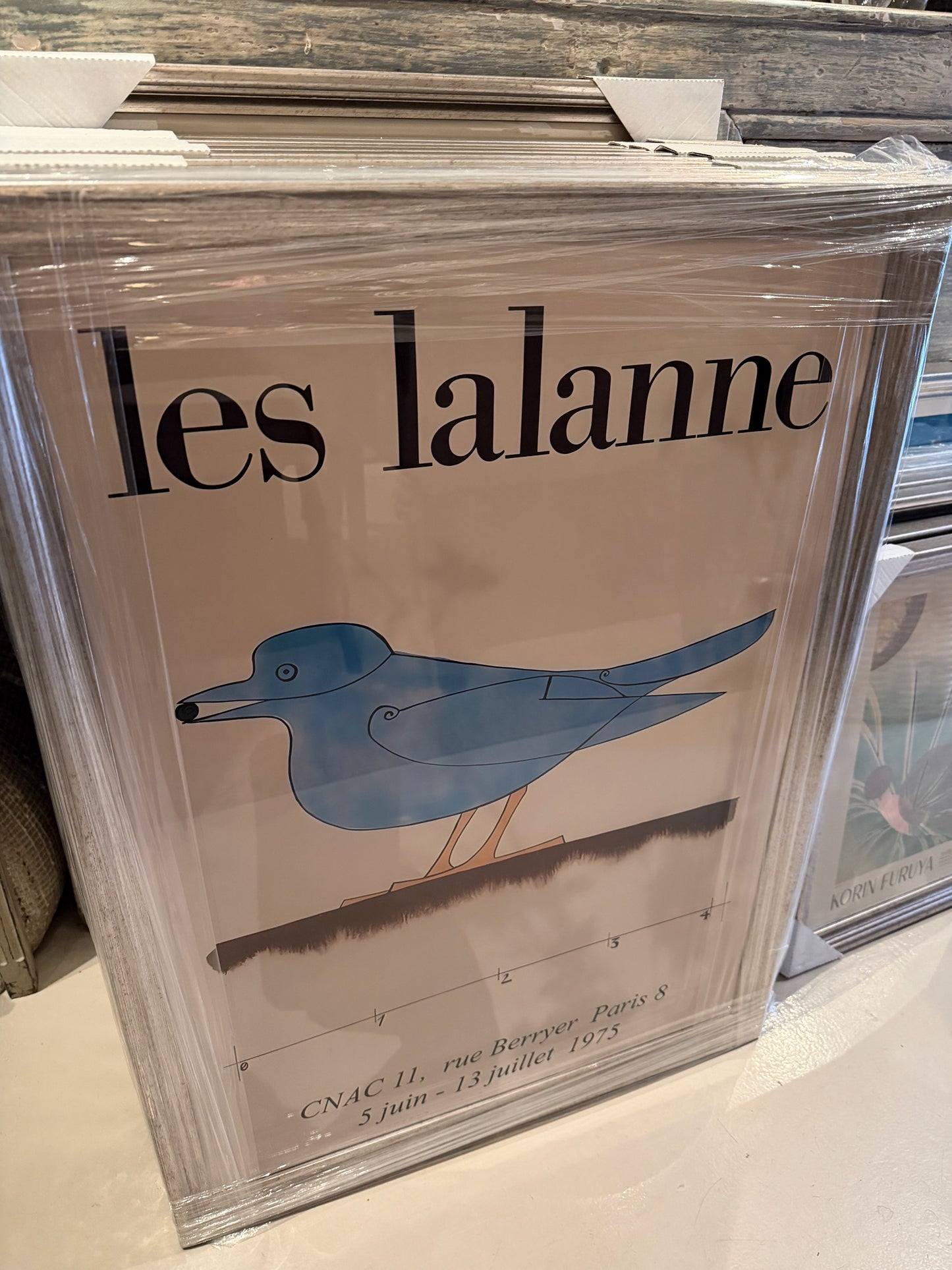 Plakater